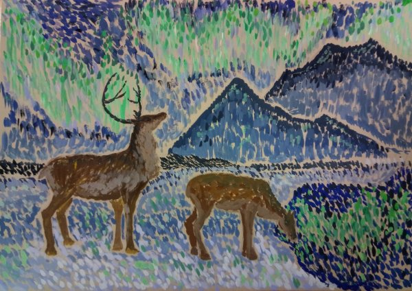 Северное сияние Якутия олени