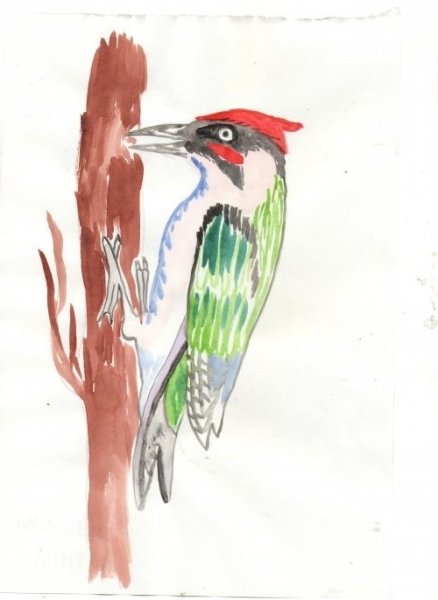 Рисунки гуашью для детей