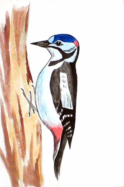 Рисование дятел гуашью для детей