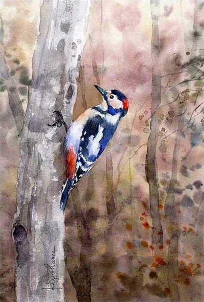Дятел живопись