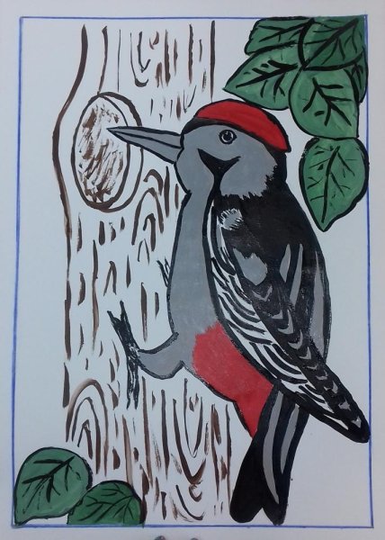 Дятел цветными карандашами