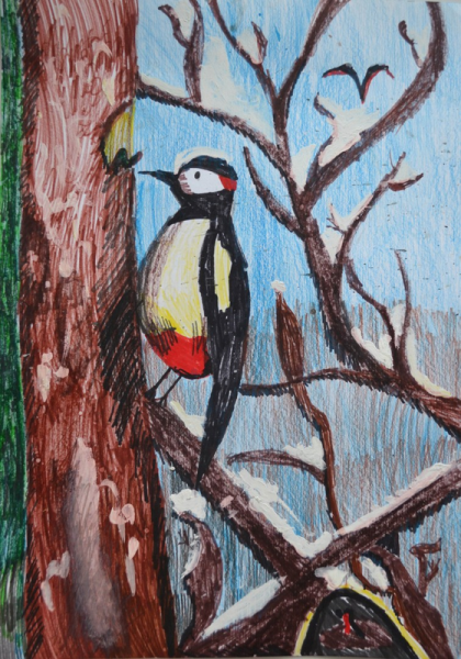 Картинка дятел для детей в детском саду