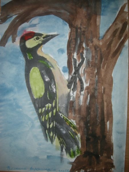 Лесные птицы акварель