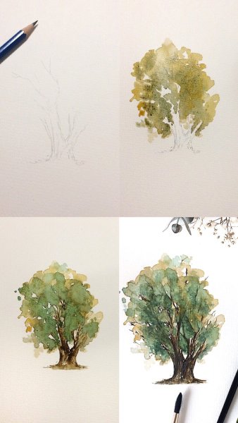 Деревья акварелью