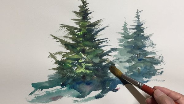 Ель акварелью