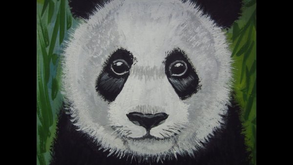 Панда рисунок акварелью