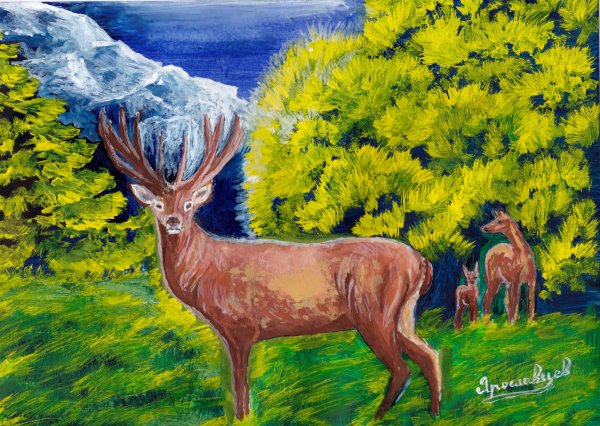 Олень в лесу гуашью
