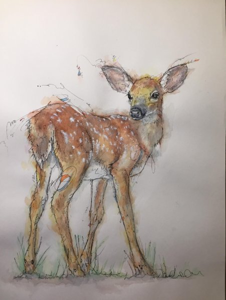 Олененок нарисованный акварелью