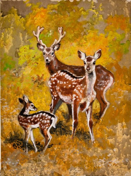 Олень гуашью