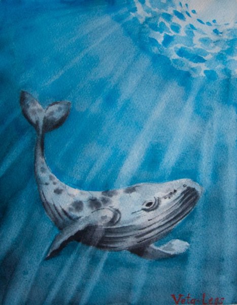 Кит акварелью