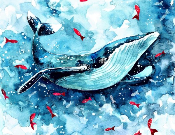 Кит красками