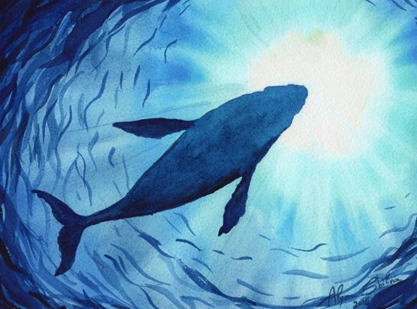 Кит рисунок