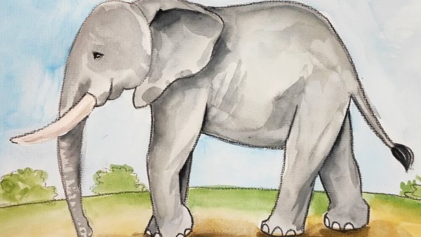 Рисование слона