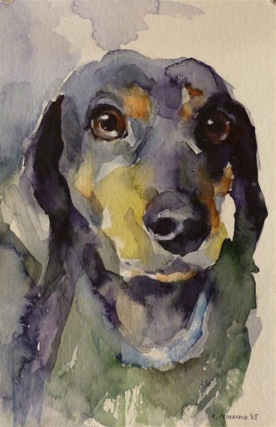 Такса акварелью