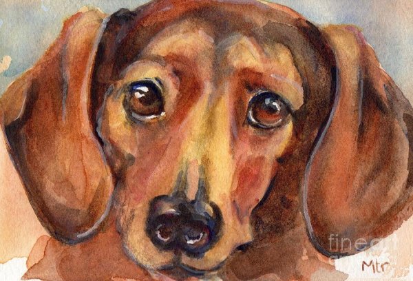 Рисуем таксу гуашью