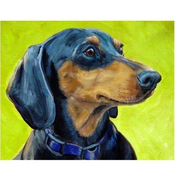 Такса акварельными карандашами