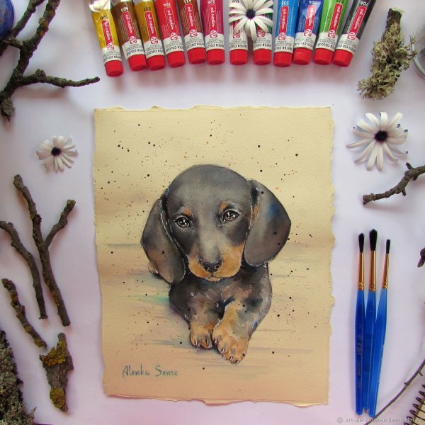 Скетчинг такса