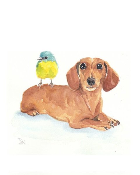 Такса акварелью