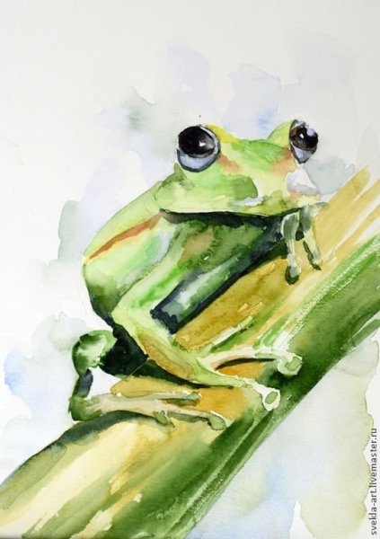 Лягушка гуашью