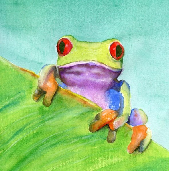 Жабка из акварели