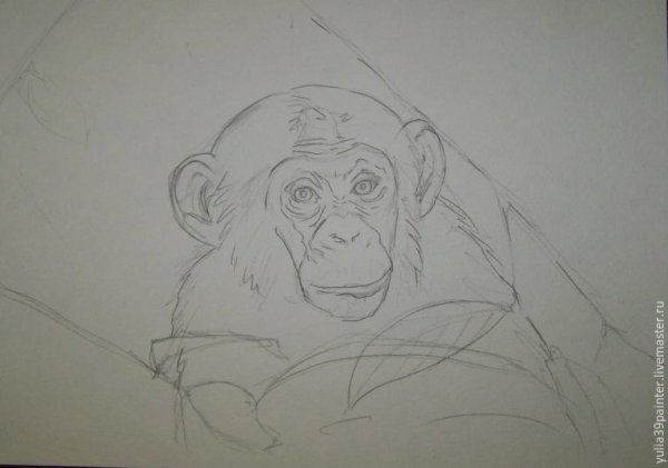 Обезьянка рисунок гуашью