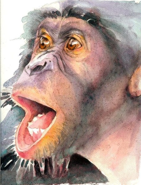 Мартышка акварель