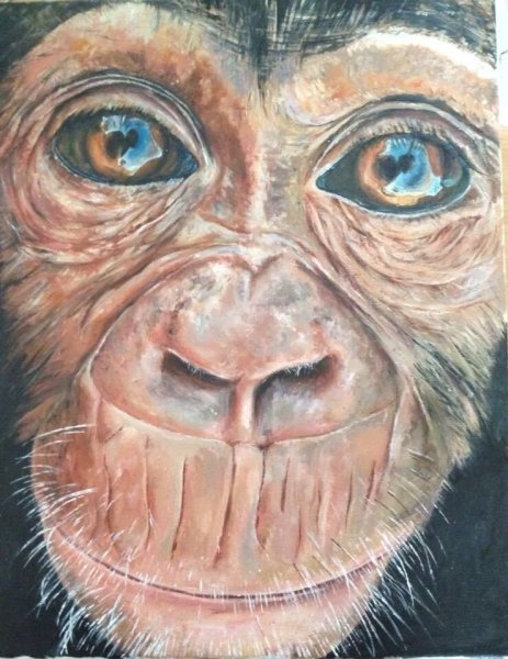 Картина обезьяны