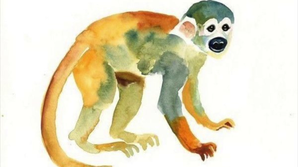 Обезьянка рисунок акварель