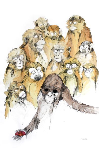 Три обезьяны рисунки акварелью