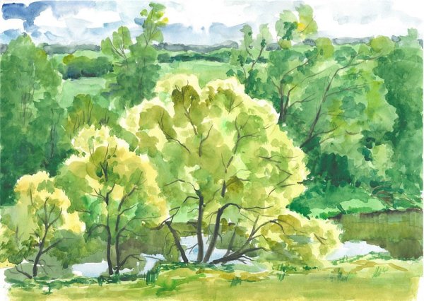 Плакучая Ива акварелью