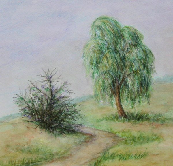 Плакучая Ива акварелью
