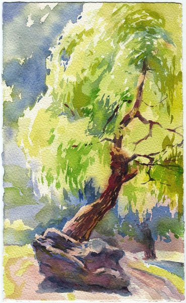 Ван Гог Ива плакучая