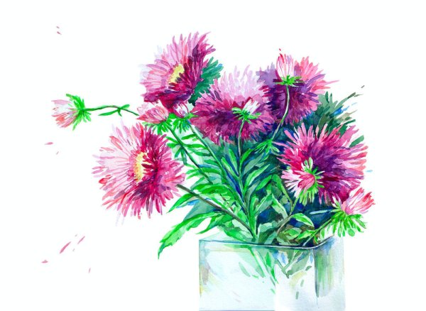 Цветы акварелью астры