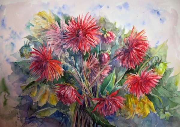 Цветы акварелью хризантемы