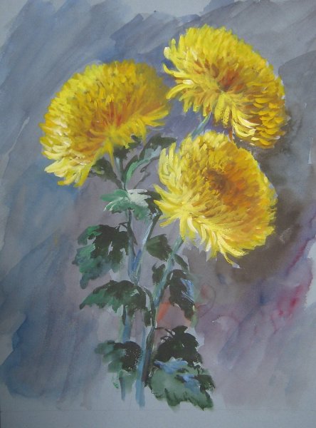 Хризантемы гуашью