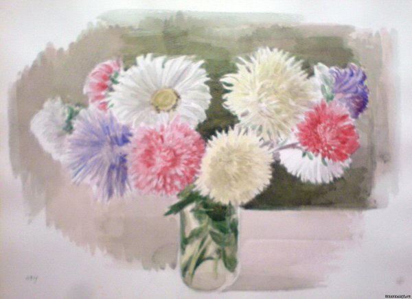 Астры рисунок акварелью