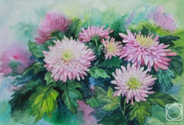 Цветы акварелью астры