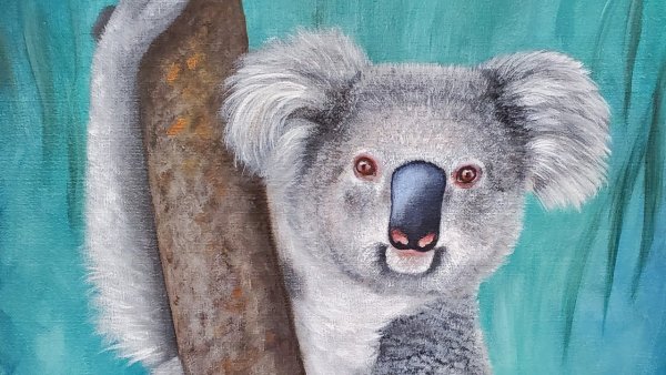 Коала сухой пастелью