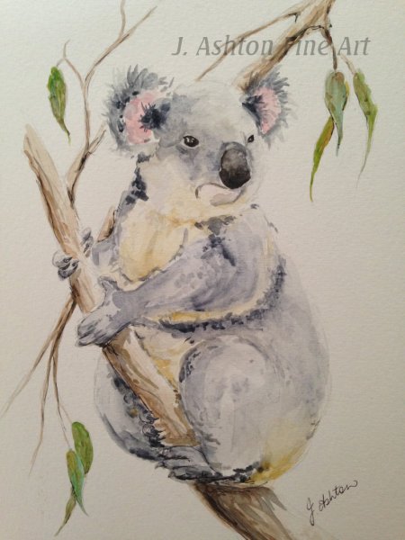 Коала Акварельная