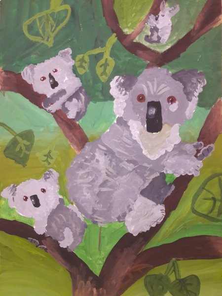 Коала гуашью