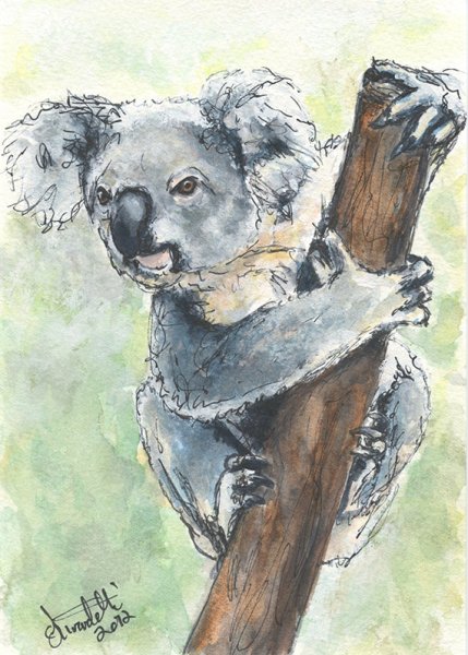 Коала гуашью