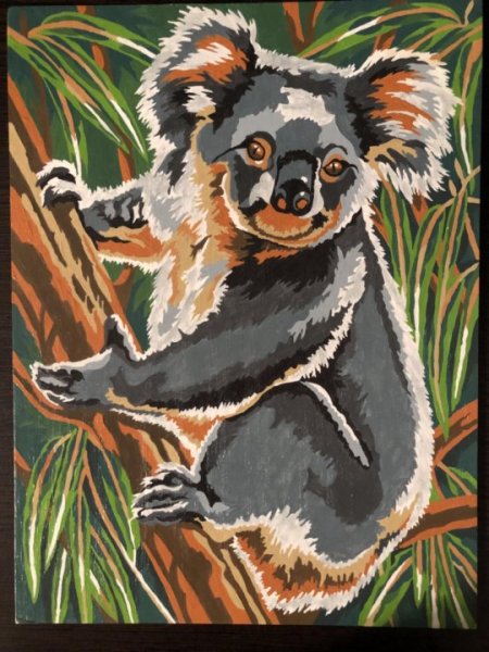 Коала гуашью