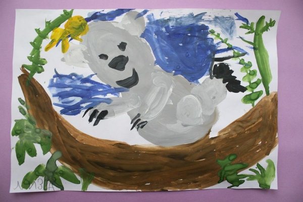 Коала пастель