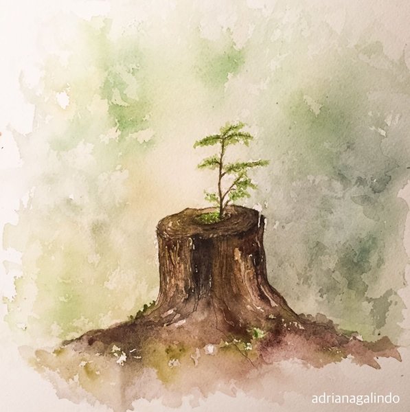 Деревья акварелью