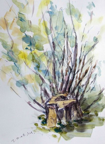 Пенек акварель