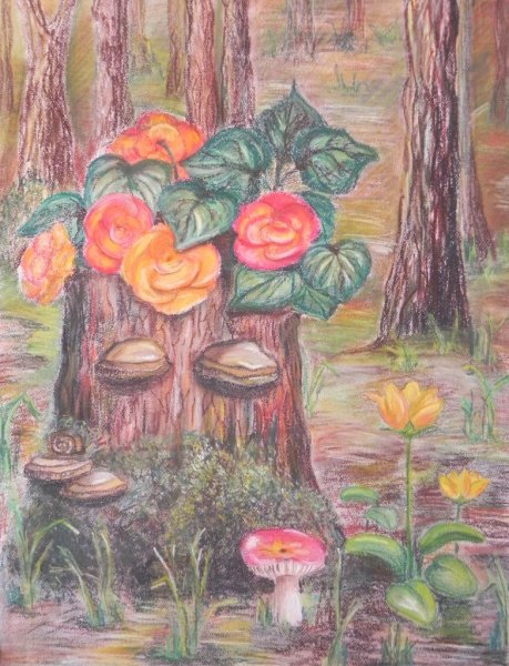 Грибы на пеньках