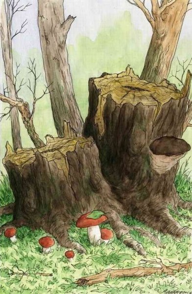 Сказочный пенек с грибами