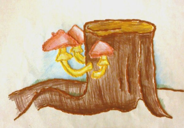 Зарисовки пенёк с грибами