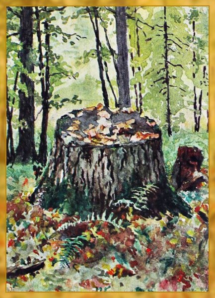 Пенек живопись