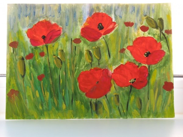 Маки рисунок